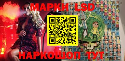 гидропоника Канаш