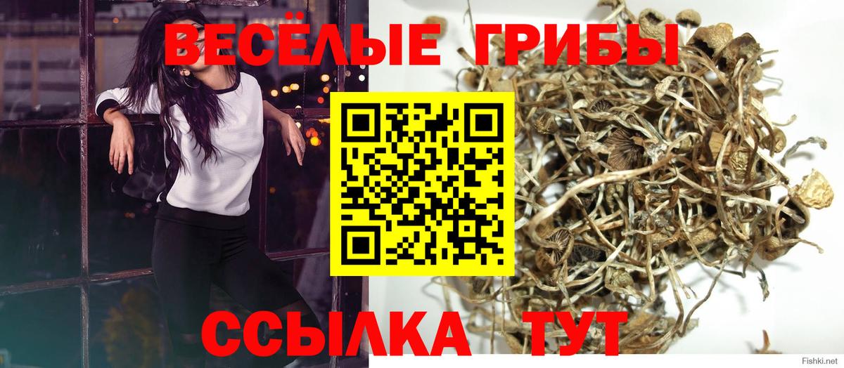 Псилоцибиновые грибы мицелий Якутск