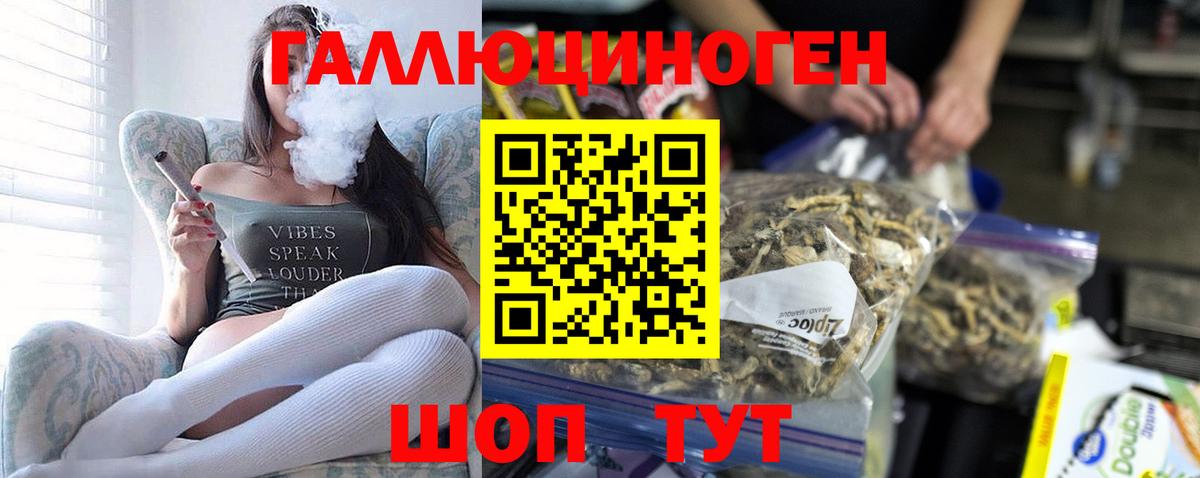где купить наркоту  Псилоцибиновые грибы прущие грибы  Вход с VPN  Якутск 