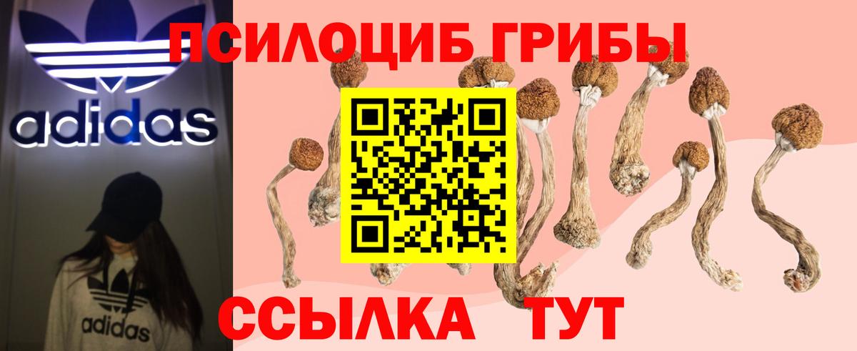 COCAIN Якутск